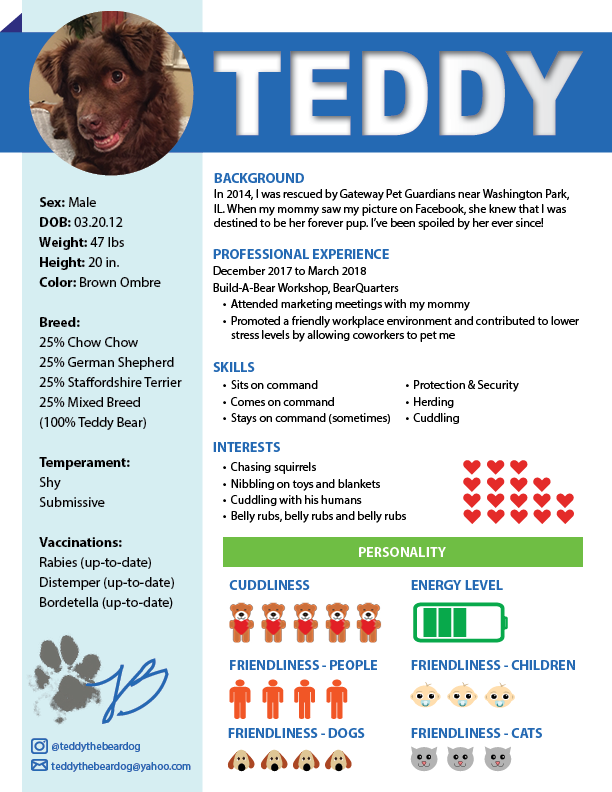 Teddy's Resum